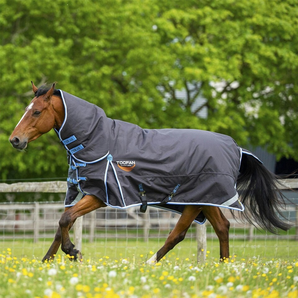 image 1 of Gallop Equestrian Toofan 350 Combo Turnout Black | Size: 6ft 3
Colour: Black