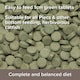 image 5 of King British Plecostomus Tablets - 50g x 6