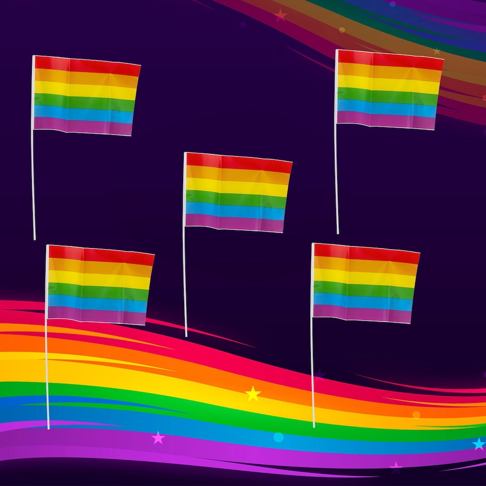 image 1 of PMS Rainbow Pride Flag 30 x 20 cm - LGBT Rainbow Stripes