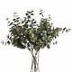 image 4 of Eucalyptus Spray Artificial Plant - Fabric/Plastic - L22 x W13 x H91 cm - Green