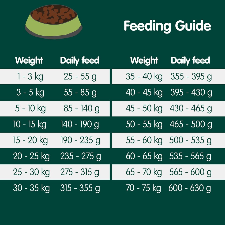 image 1 of Arden Grange Adult Dog Food With Fresh Pork and Rice - 2kg