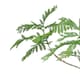 image 2 of 240cm Artificial Jacaranda Realistic Artificial Tree
