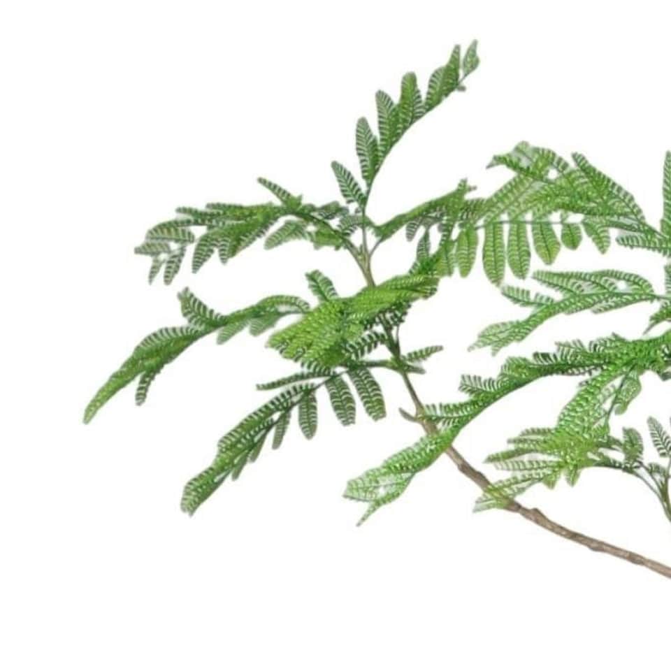 image 1 of 240cm Artificial Jacaranda Realistic Artificial Tree