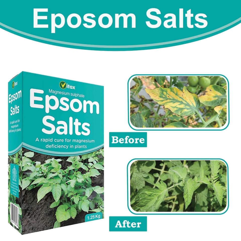 image 1 of Vitax Epsom Salts 1.25kg Fast Acting Magnesium Feed for Gardens & Houseplants