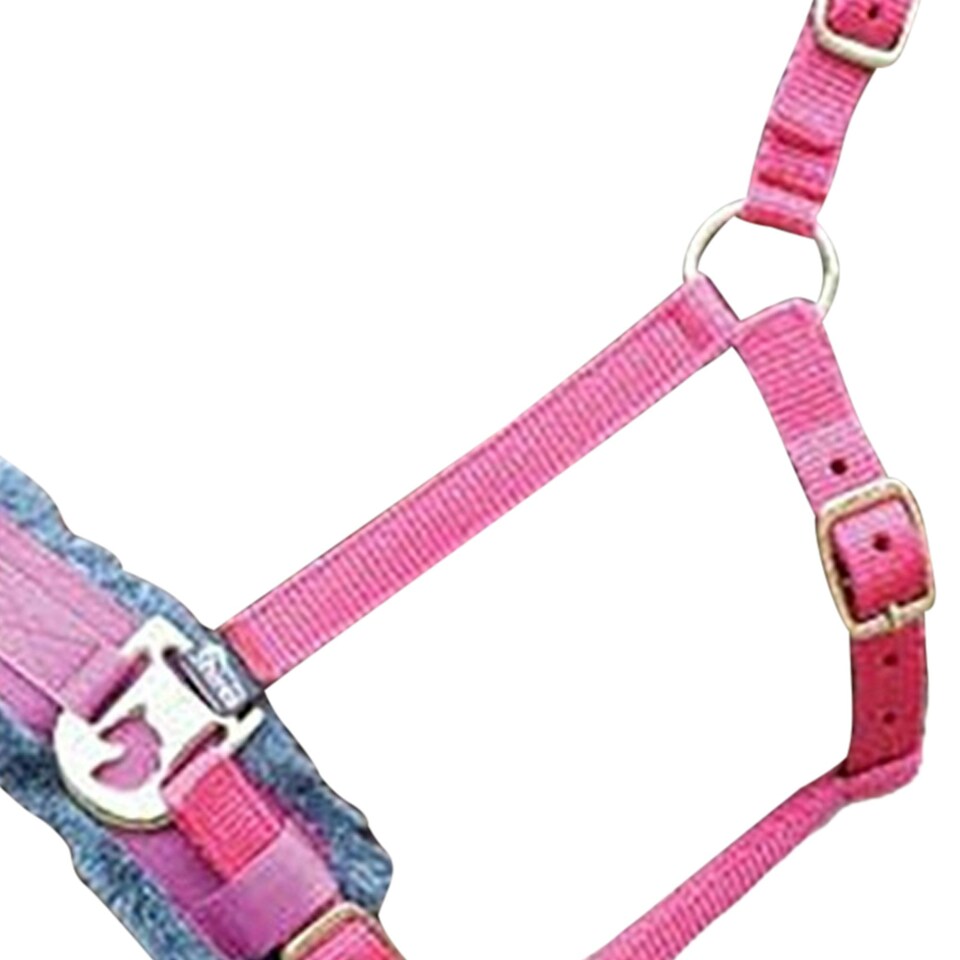 image 1 of Shires Fleece Lined Plush Horse Lunge Cavesson - Pink - X Full