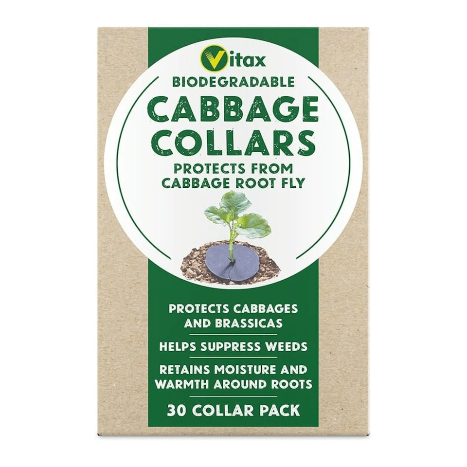 image 1 of Vitax Cabbage Collars – Pack of 30