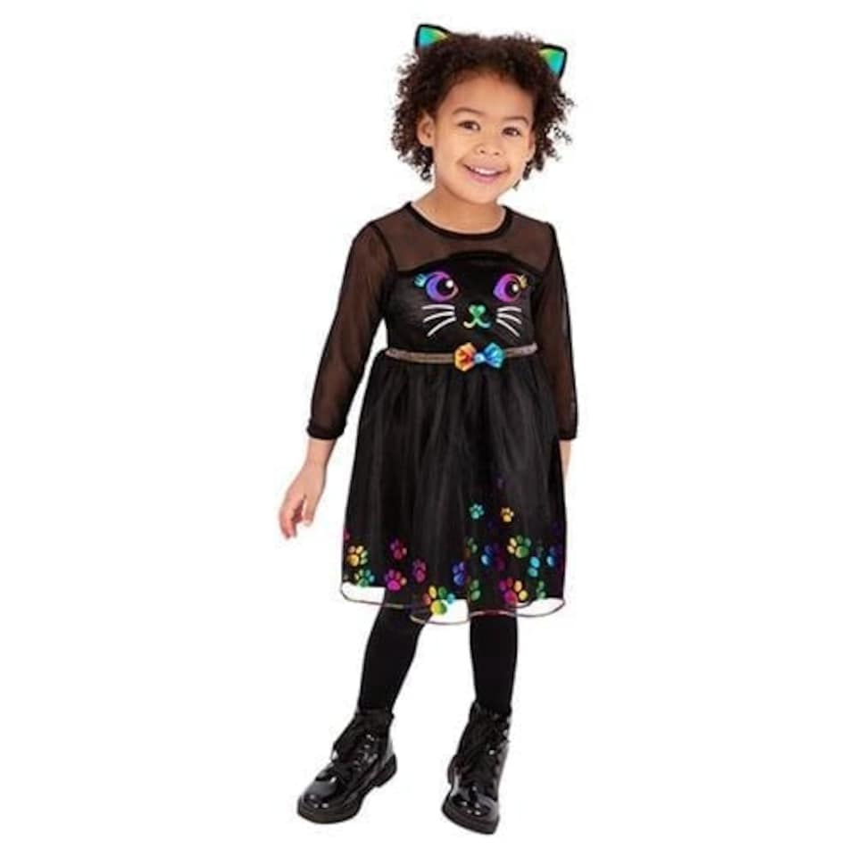 image 1 of Rainbow Cat Girls Fancy Dress Costume Toddler Age 3-4