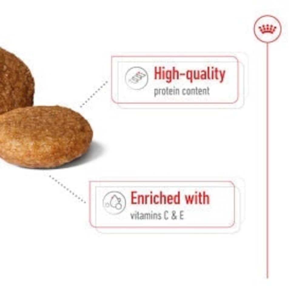image 1 of Royal Canin Medium Dry Adult Dog Food 3kg