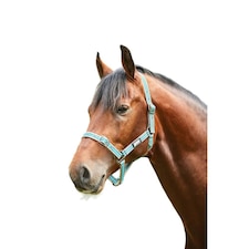 Roma Stripe Horse Headcollar - Grey/Peach/Turquoise - Warmblood