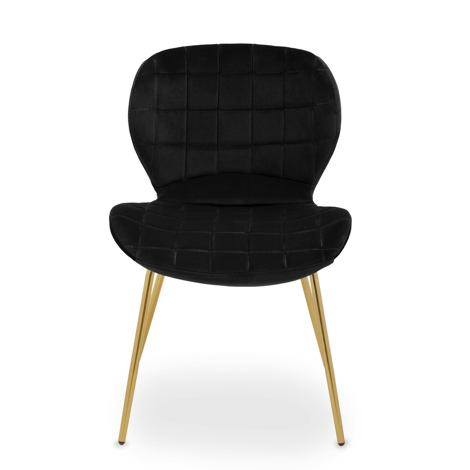 image 1 of Interiors by Premier Black Velvet Dining Chair, Luxury Dining Chair, Modern Black Velvet Dining Chair with Gold Finished Legs