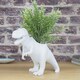 image 3 of Gift Republic Planter T-Rex Dinosaur
