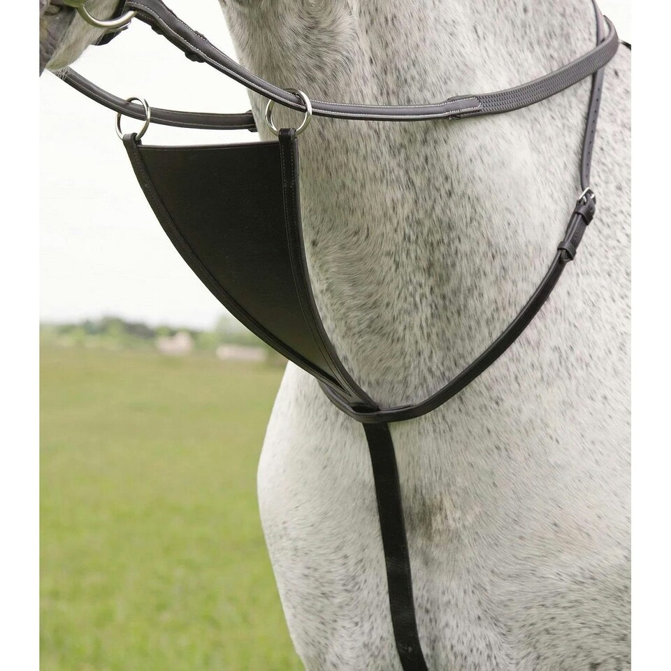 image 1 of Blenheim Leather Horse Bib Martingale - Black - Cob
