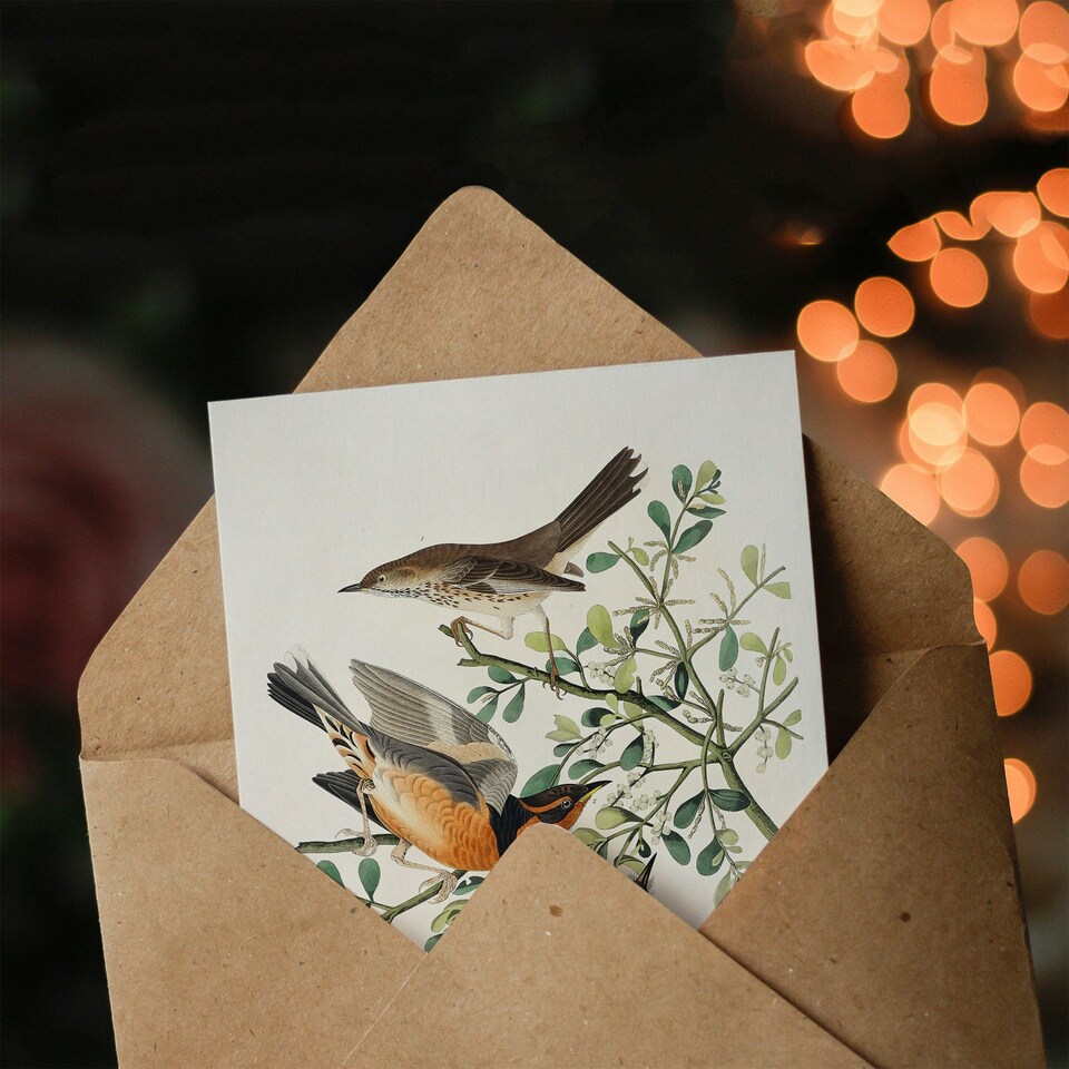 image 1 of John James Audubon Art Card Mountain Mocking Bird and Thrush