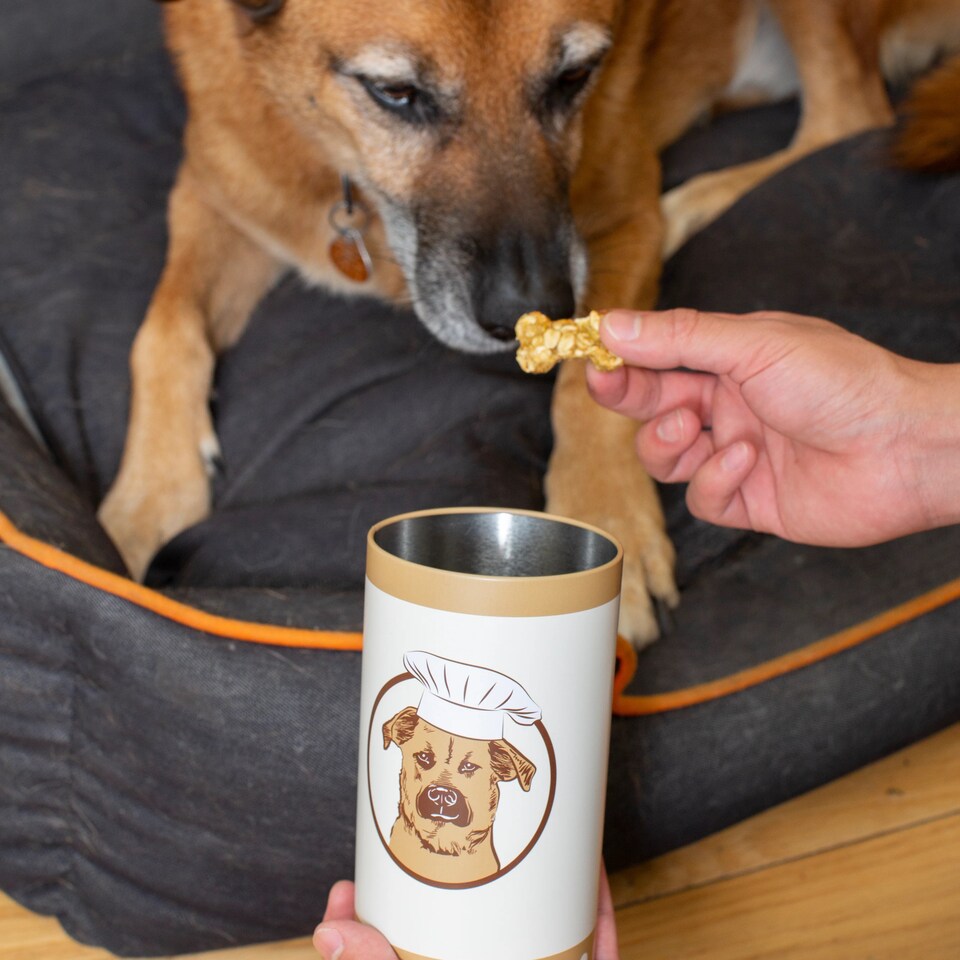image 1 of Kobe Make Your Own Dog Treats Silicone Mould + Recipe Book