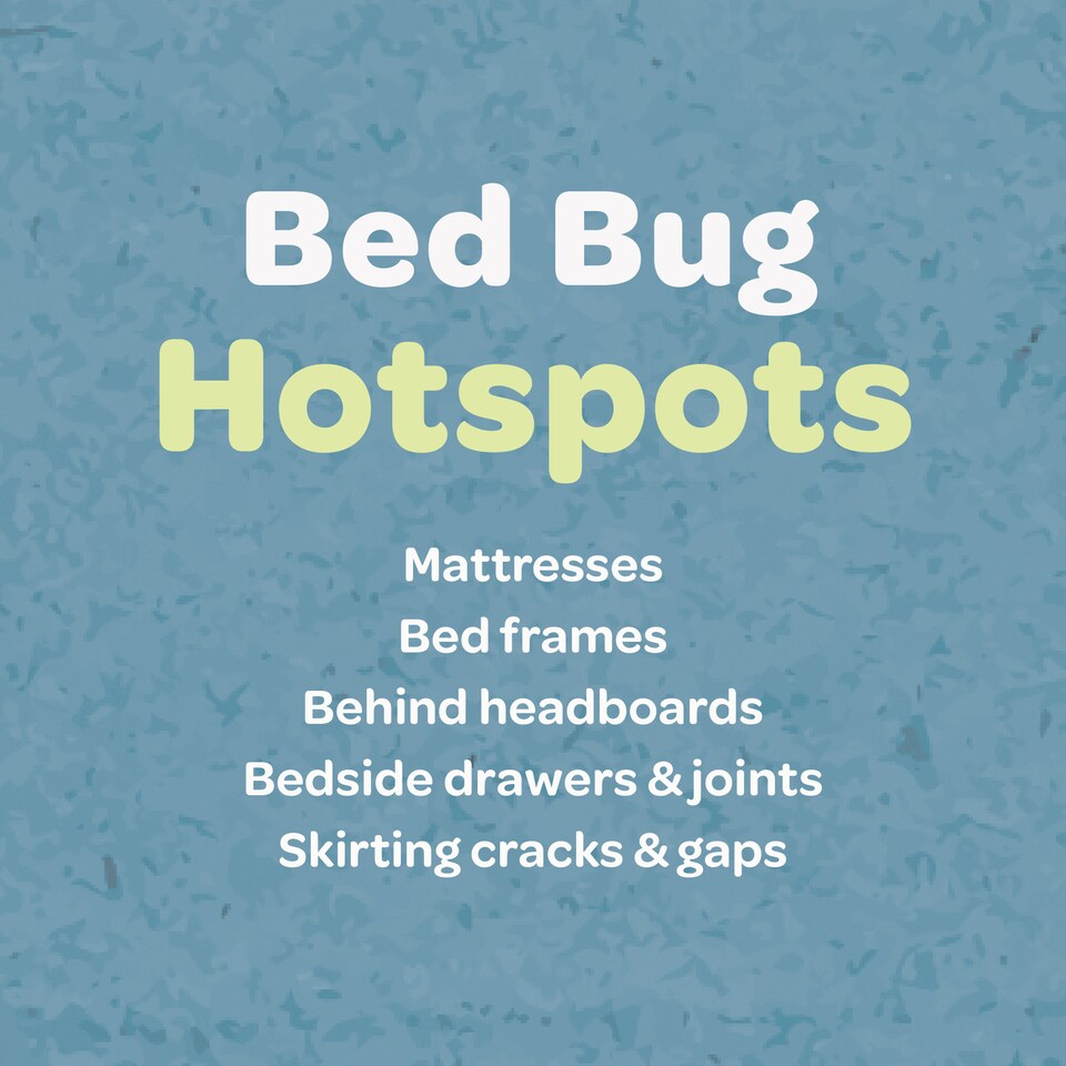 image 1 of Inoscent Bed Bug Killer Spray (5L) - For Mattress, Bedding & Bed Frames - Ready to Use, Non-Toxic, Pet & Family Safe