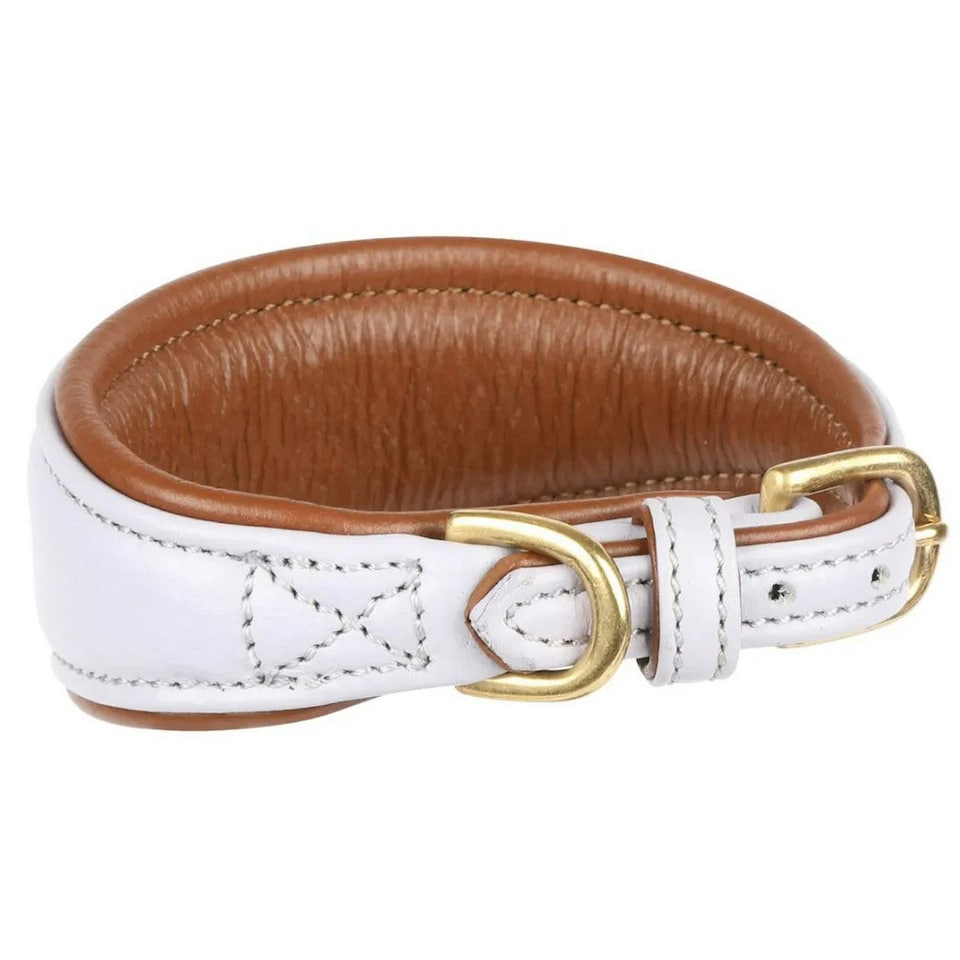 Digby & Fox Leather Padded Greyhound Dog Collar - Lilac - S - Neckline: 25cm-28cm