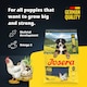 image 2 of Josera Junior Kids complete puppy food | Gluten-free | Medium & large breeds | Lots of meat | Optimal development | Omega 3 from Salmon Oil | 2x12.5kg pack