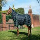 image 3 of Gallop Equestrian Trojan Dual 300 Stable Rug & Neck Set Clear | Size: 5ft 9
Colour: Black