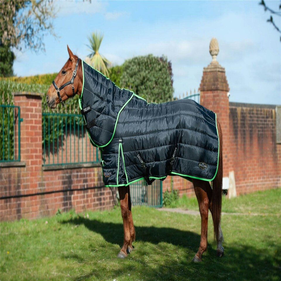 image 1 of Gallop Equestrian Trojan Dual 300 Stable Rug & Neck Set Clear | Size: 5ft 9
Colour: Black