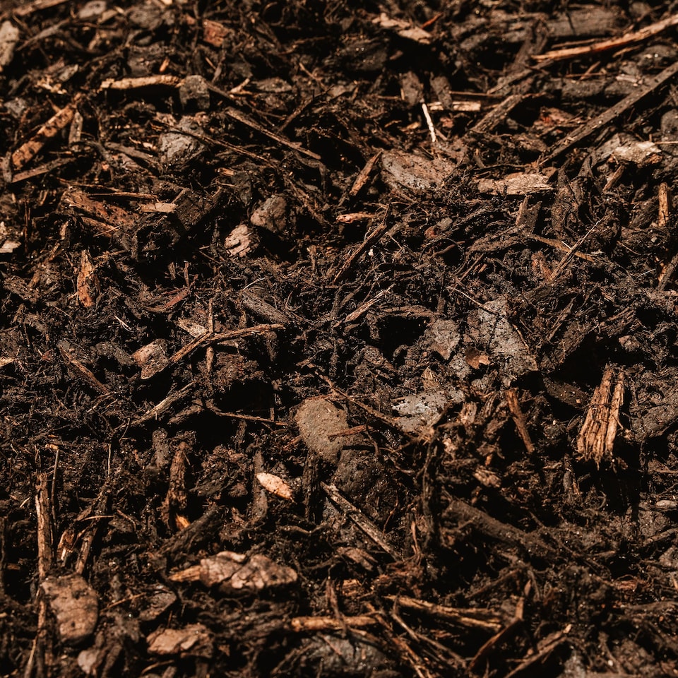 image 1 of Westland Decorative Mini Bark For Borders 70L | Brown | Brown | 70L | 1