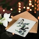 image 4 of John James Audubon Art Card Olive Sided Flycatcher Bird on Fir Tree