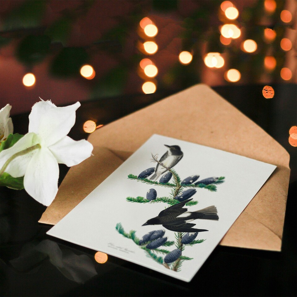 image 1 of John James Audubon Art Card Olive Sided Flycatcher Bird on Fir Tree