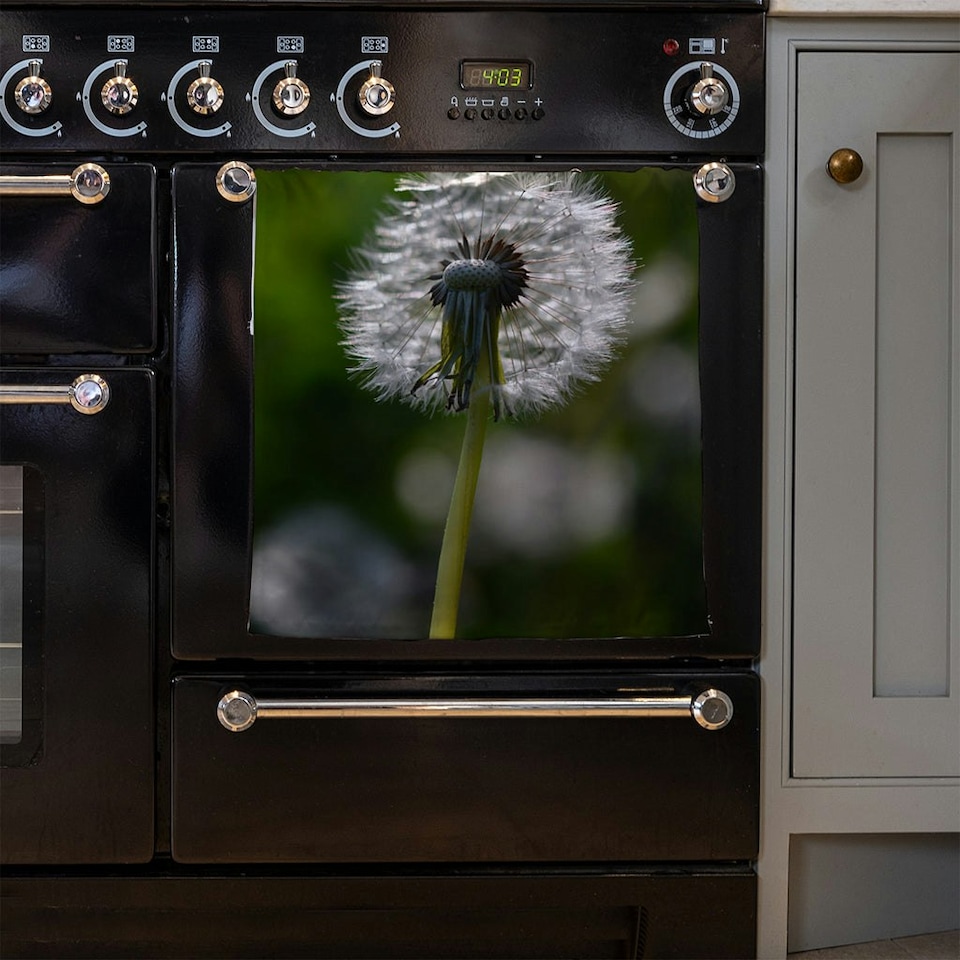 image 1 of Seedhead of a Dandelion in spring, on a field close up flower head, fluffy flower (Kitchen Towel)