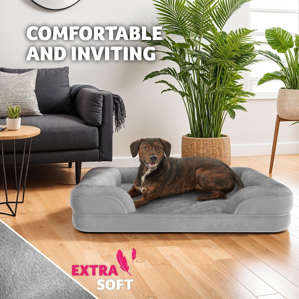 image 1 of Dog Bed Kimba - orthopaedic, thick padding, raised edge, washable cover | Grey | grey | XL | 1