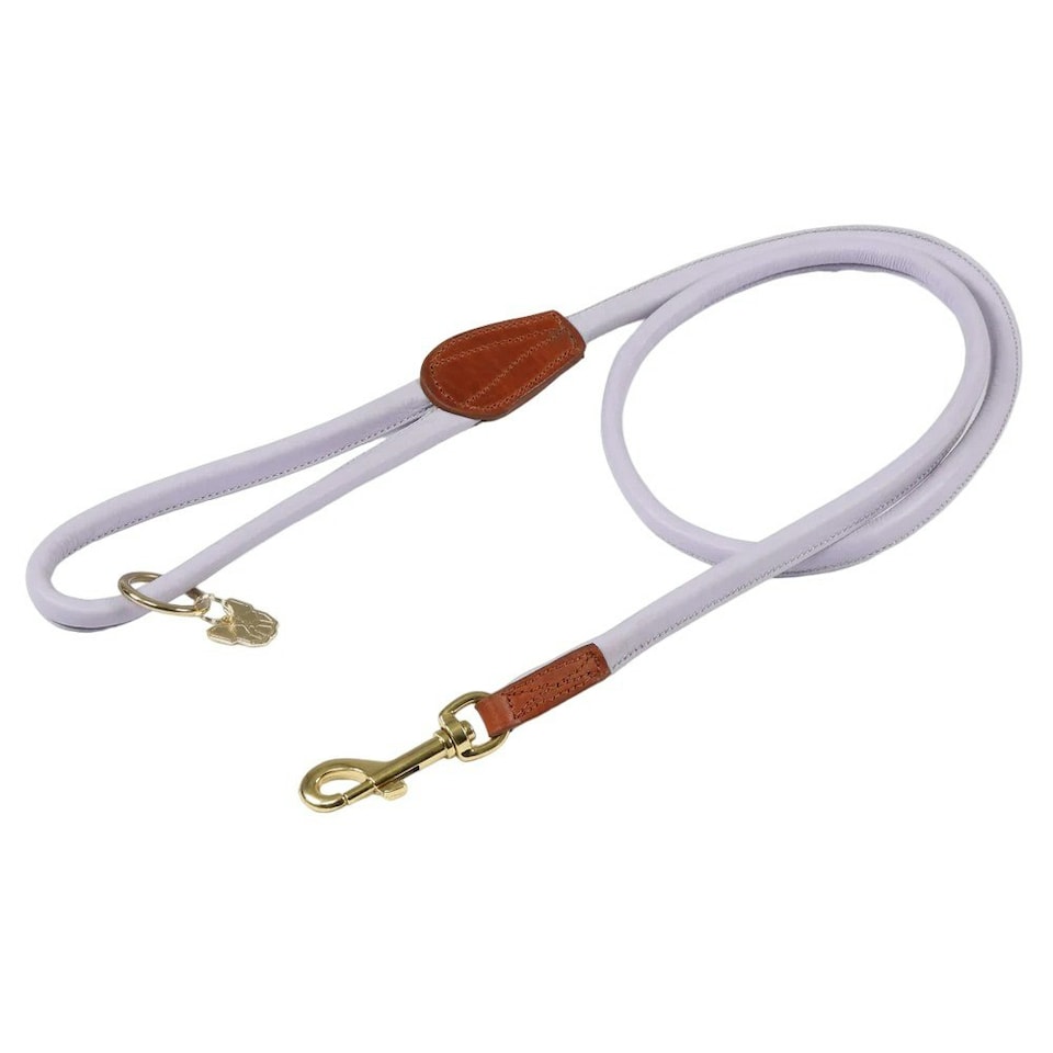 Digby & Fox Rolled Leather Dog Lead - Lilac - One Size