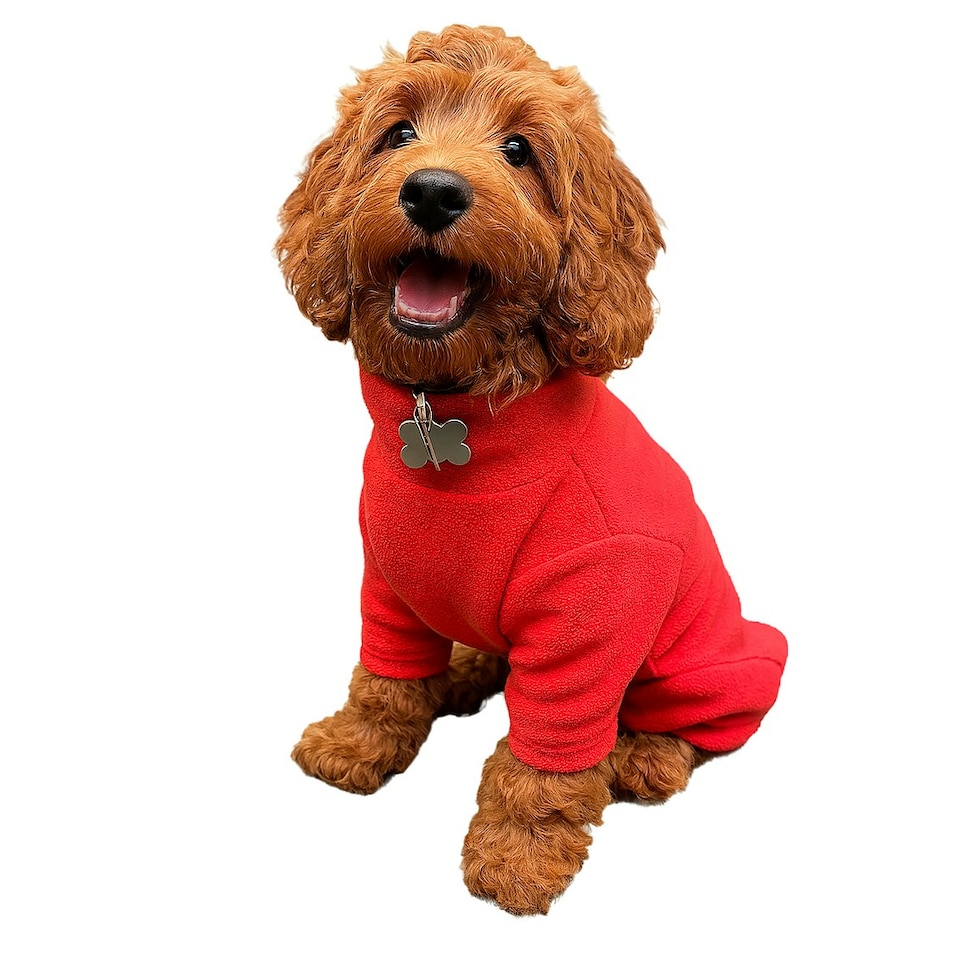 image 1 of Four Legged Dog Fleece - XL / Coral Red | XL