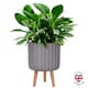 image 1 of Modern Ribbed Taupe Cylinder Planter on Legs, Round Pot Plant Stand Indoor D24 H32 cm, 7.6 ltrs Cap.