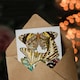 image 3 of Eugene Seguy Art Card Papillons Butterflies Vintage