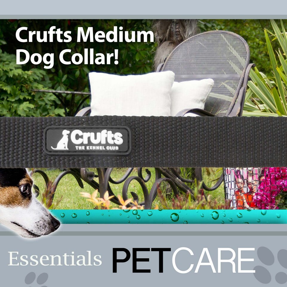 image 1 of PMS Crufts Medium Black Nylon Collar for Dogs