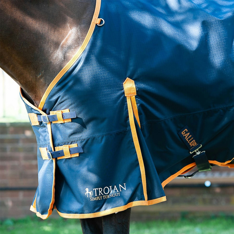 image 1 of Gallop Equestrian Trojan 100 Standard Turnout Red | Size: 5ft 9
Colour: Navy/Red