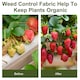 image 6 of Outsunny 2x50m Weed Barrier Fabric Durable Convenient Design Weed Block Mat