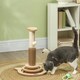 image 2 of PawHut Cat Scratcher, 5-in-1 Sisal Post with Interactive Toy 49cm Oak Tone