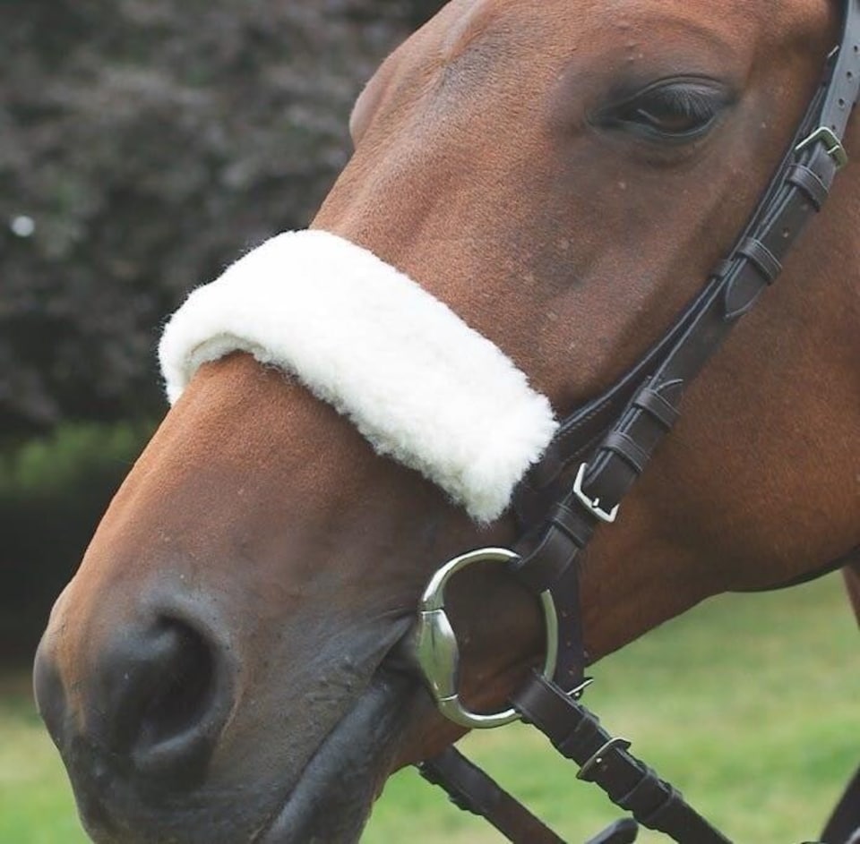 image 1 of Shires Acrilan Noseband Sleeve | Black | Size: One Size
Colour: Black
