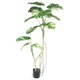 image 1 of 180cm Variegated Monstera Realistic Artificial Tree