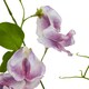 image 2 of Hill Interiors The Natural Garden Collection Sweetpea Artificial Flower - Purple - One Size
