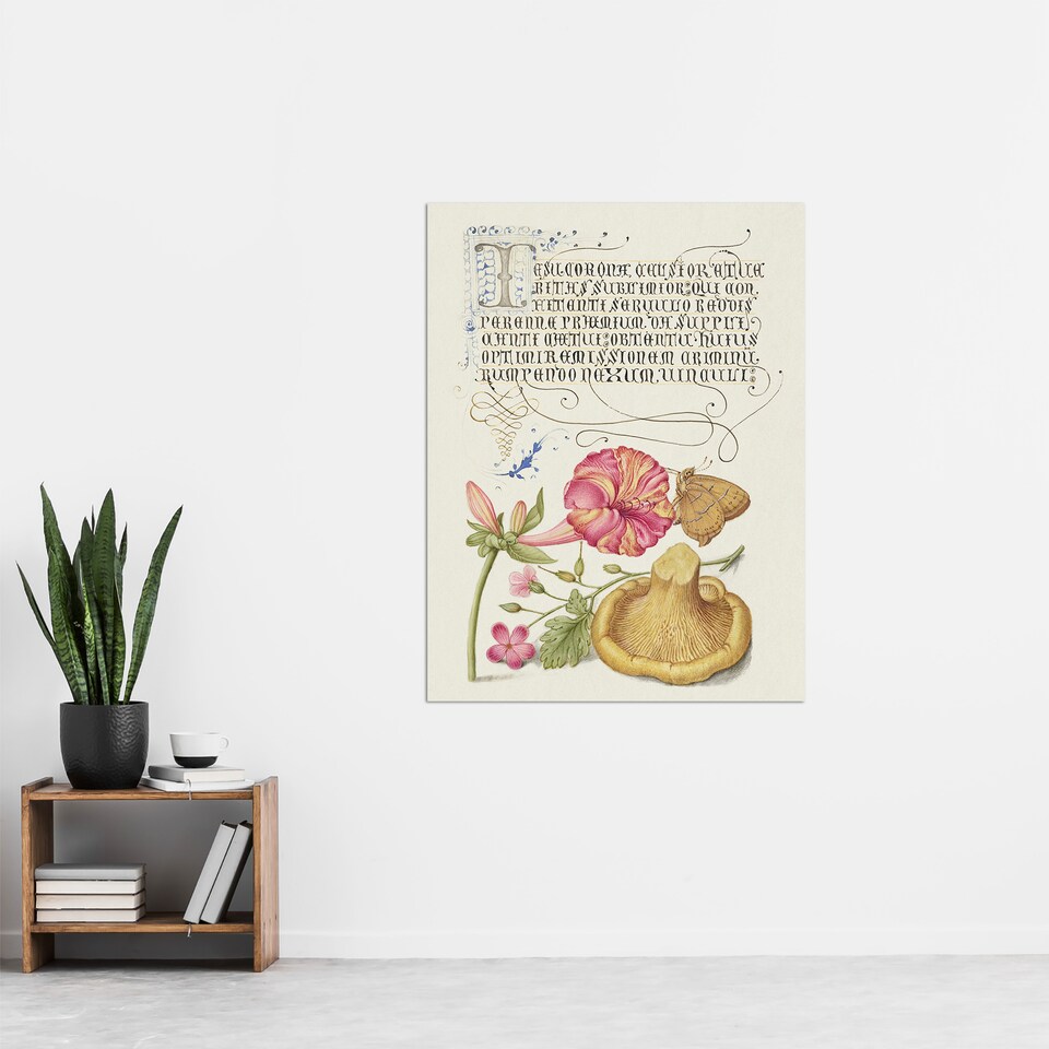 image 1 of Flowers Mushroom and Butterfly Calligraphy Huge Wall Art Poster Print 24X32"