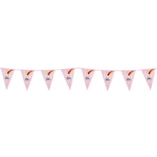 Baby Girl Plastic Bunting 6m