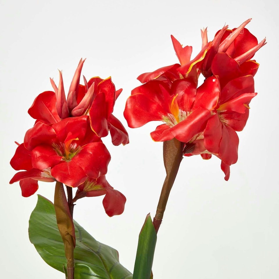 image 1 of Homescapes Artificial Canna Lily Plant, 90 cm Tall