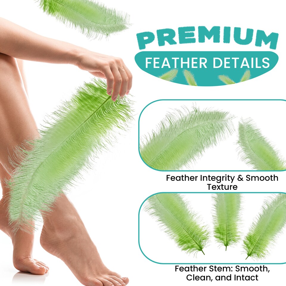 image 1 of 50cm - 60cm Large Ostrich Feathers, Showgirl Spadones - 5pcs