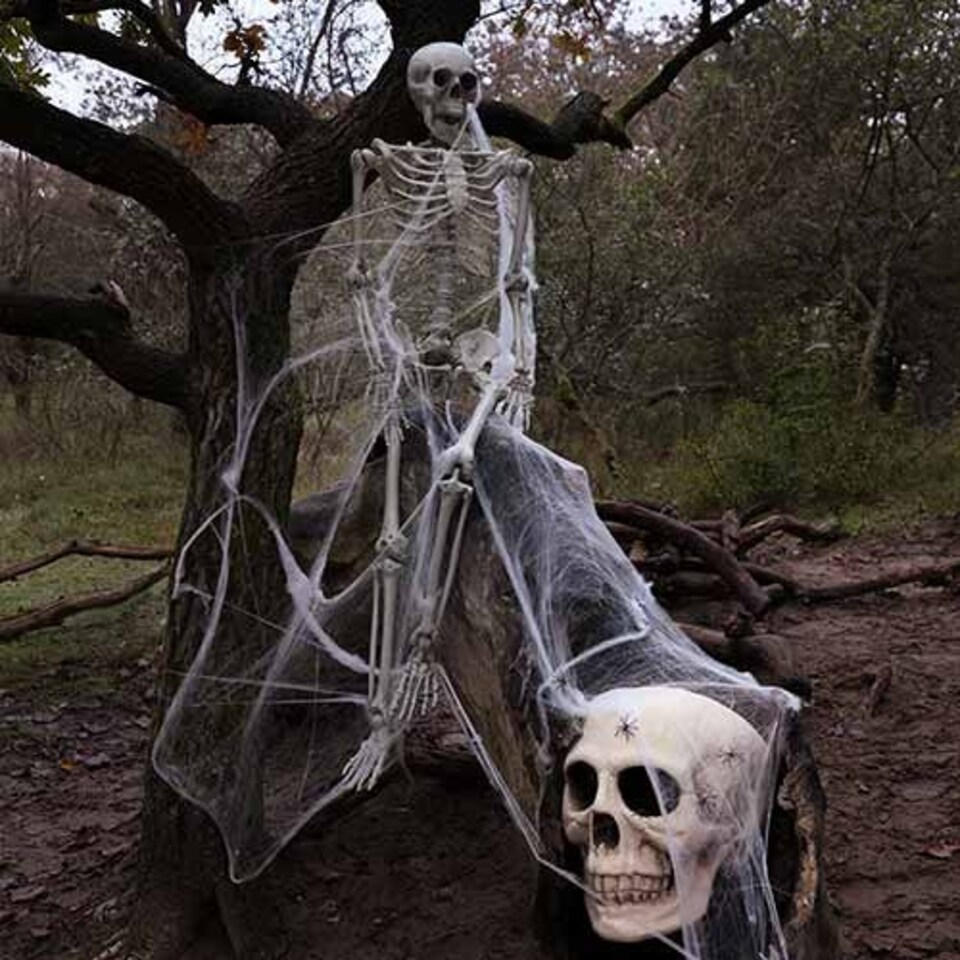 image 1 of Halloween Skeleton Lifesize Hanging Prop Decoration 150cm