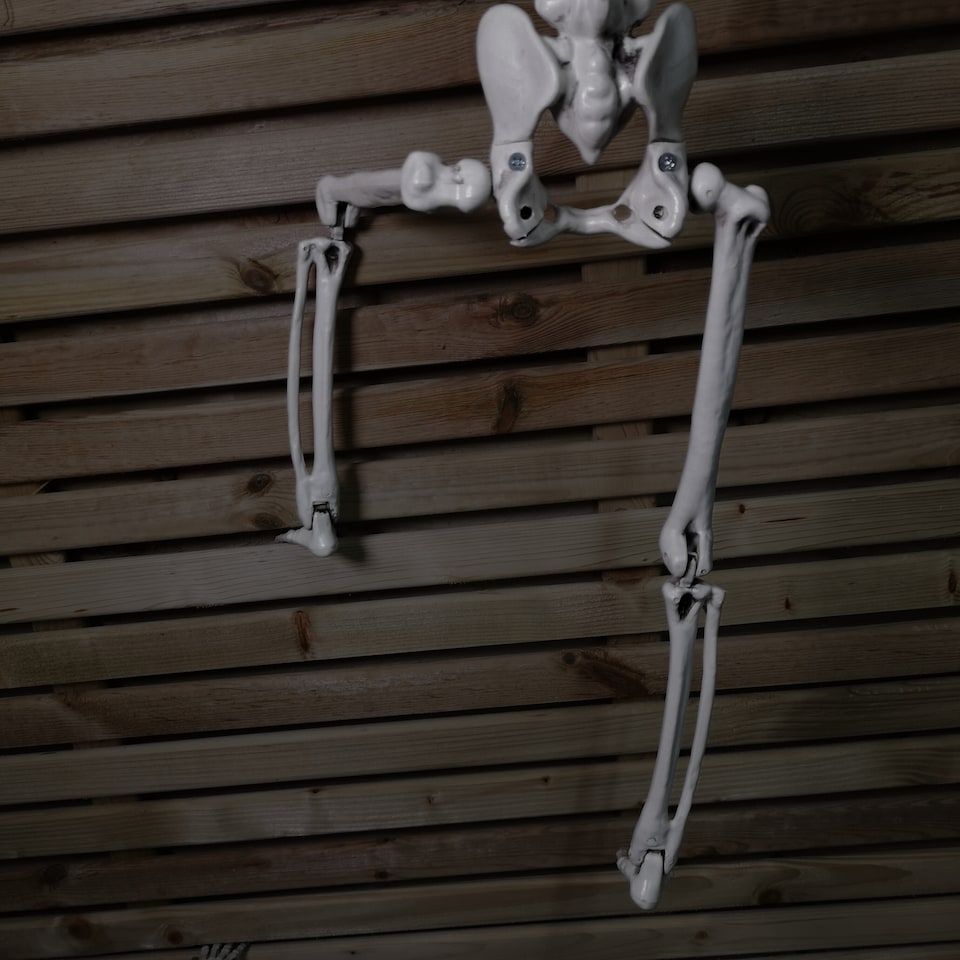 image 1 of 90cm (3ft) Posable Full Body Halloween Skeleton Decoration with Movable Joints