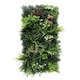 image 6 of True Products Combo Set of 3 Premium Artificial Living Wall Green Plant Panel 1m x 50cm Florence A B C