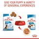 image 8 of Royal Canin Maxi Dry Puppy Food 12kg