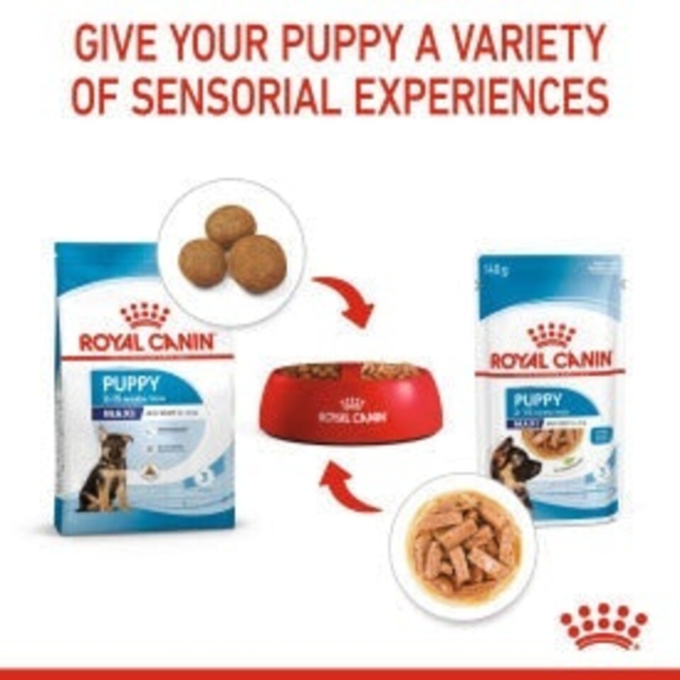 image 1 of Royal Canin Maxi Dry Puppy Food 12kg