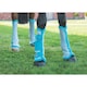 image 2 of ARMA Horse Fly Turnout Socks (Pack of 4) - Teal - Pony