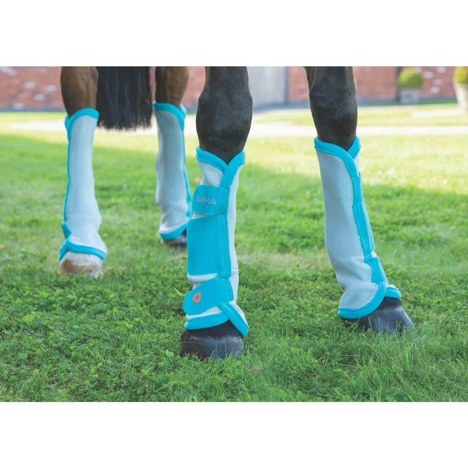 image 1 of ARMA Horse Fly Turnout Socks (Pack of 4) - Teal - Pony
